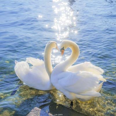 LOL外围官网下载手机版